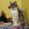 Отзыв от Нинель Шилова